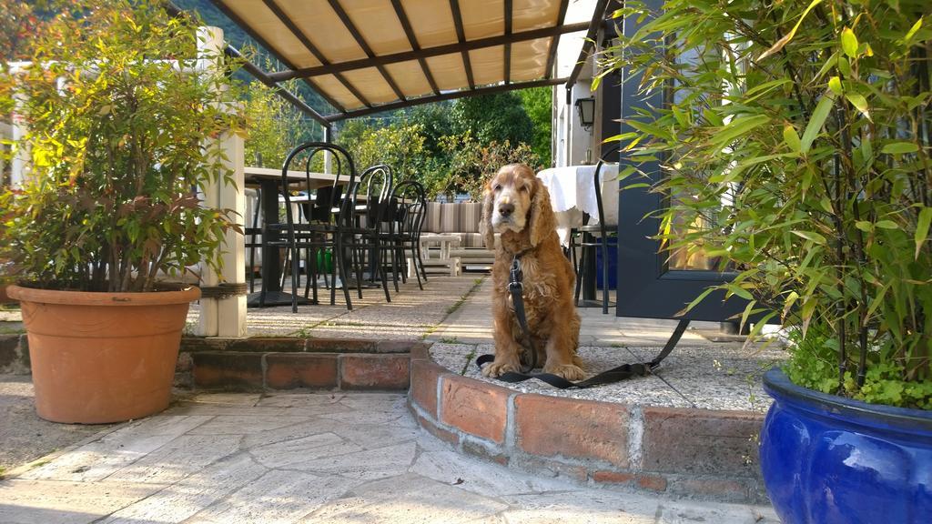 Hotel Cubamia Romano D'Ezzelino Εξωτερικό φωτογραφία